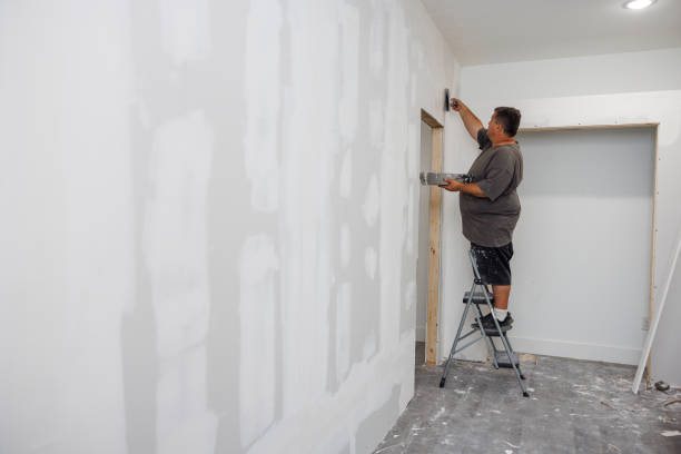 Best Residential Painting  in Harper, TX